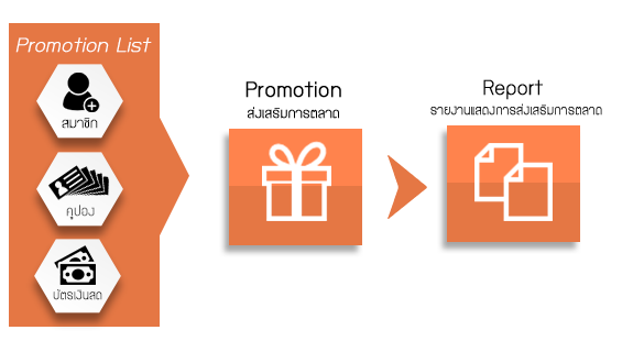 marketing(ERP) : softimo 